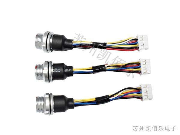 勘測線束2 勘測線束2